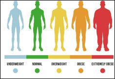 BMI Body Mass Index