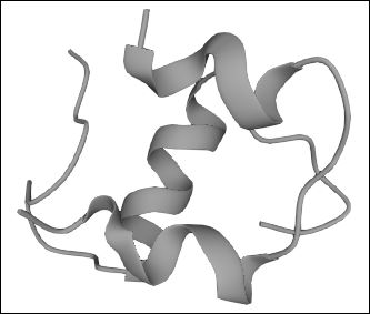Insulin